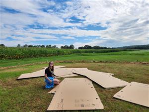 Installing cardboard for weed control in the school gardens