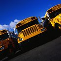 school bus
