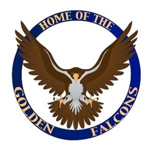 Falcon Logo 